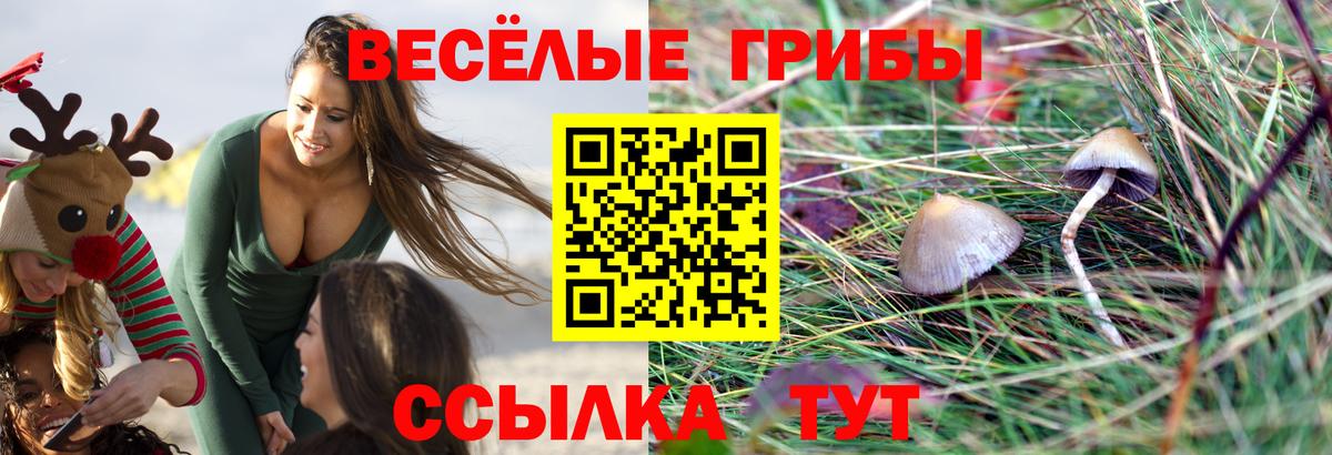 Псилоцибиновые грибы MAGIC MUSHROOMS Екатеринбург