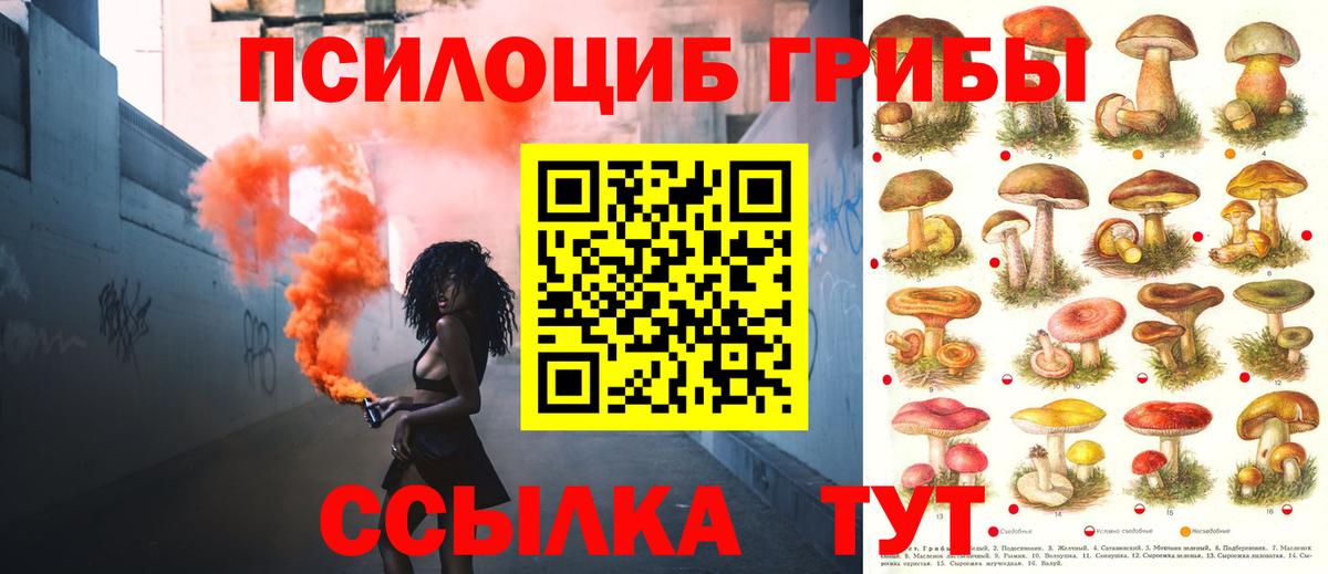 сколько стоит  Галлюциногенные грибы ЛСД  Екатеринбург  Вход с VPN  Псилоцибиновые грибы Psilocybe 